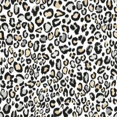 Cool Kids Multi Color Leopard Wallpaper