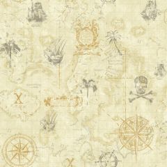 Cool Kids Pirate Map Wallpaper