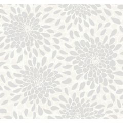 Cool Kids Toss The Bouquet Wallpaper