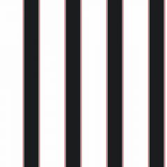 Cool Kids Wide Stripe/pinstripe Wallpaper
