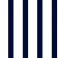 Cool Kids Wide Stripe/pinstripe Wallpaper
