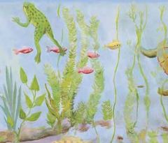 Frog Turtle and Fish Wallpaper Border