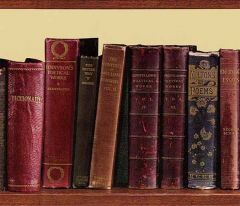 Library Wallpaper Border- 1 ROLL LEFT