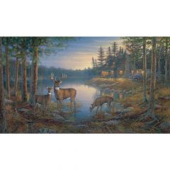 Lake Forest Lodge Quiet Places Mural