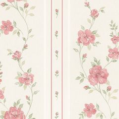 MD29443 In Register Rose Stripe Wallpaper Ivory, Blush, Pink Silk Impressions 2 Norwall Wallcovering