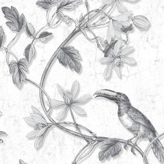 MH36529 Toucan Toile Wallpaper Black Manor House Norwall Wallcovering