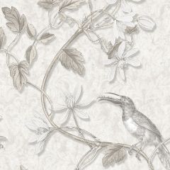 MH36530 Toucan Toile Wallpaper Beige, Grey Manor House Norwall Wallcovering
