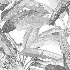 MH36533 Polynesian Leaves Wallpaper Black and white Manor House Norwall Wallcovering