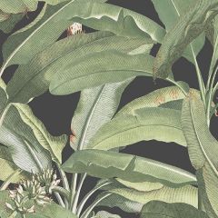 MH36535 Polynesian Leaves Wallpaper Black, Green Manor House Norwall Wallcovering