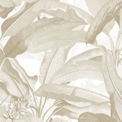 MH36536 Polynesian Leaves Wallpaper Tan, Beige Manor House Norwall Wallcovering