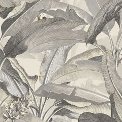 MH36538 Polynesian Leaves Wallpaper Beige, Black Manor House Norwall Wallcovering