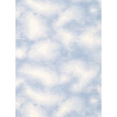 Lake Forest Lodge Cloud Wallpaper