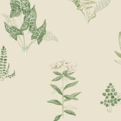 PA34226 Ferns Wallpaper Cream, Green Paradise Norwall Wallcovering