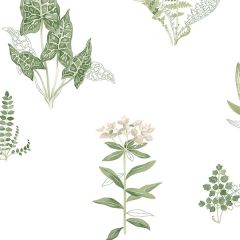 PA34227 Ferns Wallpaper Green, Beige Paradise Norwall Wallcovering