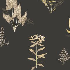 PA34228 Ferns Wallpaper Yellow, Black Paradise Norwall Wallcovering