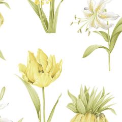 PA34232 Botanical Floral Wallpaper Green, Yellow Paradise Norwall Wallcovering