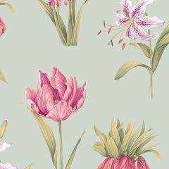 PA34233 Botanical Floral Wallpaper Turquoise, Pink, Green Paradise Norwall Wallcovering