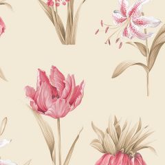 PA34236 Botanical Floral Wallpaper Pink, Cream, Breow Paradise Norwall Wallcovering