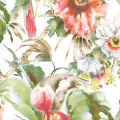 PA34244 Palm Beach Parrot Wallpaper Red, Green Paradise Norwall Wallcovering