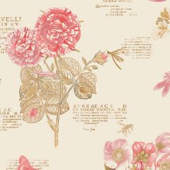 PA34246 Botany Floral Wallpaper Red, Cream, Tan Paradise Norwall Wallcovering