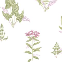 PA34248 Ferns Wallpaper Pink, Green Paradise Norwall Wallcovering