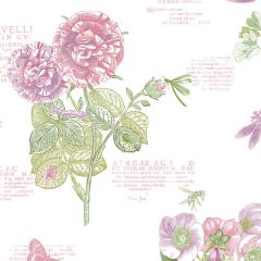 PA34249 Botany Floral Wallpaper Pink, Purple, Green Paradise Norwall Wallcovering