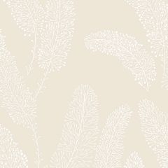 PA34250 Feather Wallpaper Beige Paradise Norwall Wallcovering