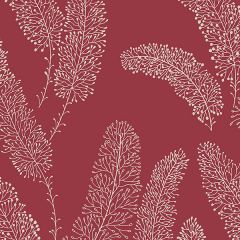 PA34252 Feather Wallpaper Red Paradise Norwall Wallcovering