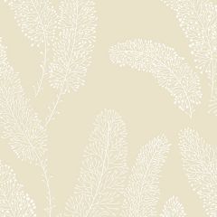 PA34253 Feather Wallpaper Taupe Paradise Norwall Wallcovering