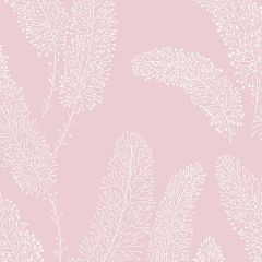 PA34254 Feather Wallpaper Pink Paradise Norwall Wallcovering