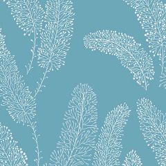 PA34255 Feather Wallpaper Aqua Paradise Norwall Wallcovering