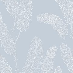 PA34256 Feather Wallpaper Blue Paradise Norwall Wallcovering