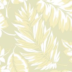 PA34257 Palm Leaf Wallpaper Green Paradise Norwall Wallcovering