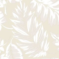 PA34259 Palm Leaf Wallpaper Beige Paradise Norwall Wallcovering