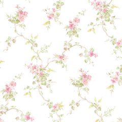 PP35530 Ivy Trail Wallpaper Pink, Green Pretty Prints 4 Norwall Wallcovering