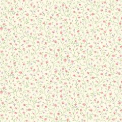 PP35538 Rainbow Mini Wallpaper Cream, Purple, Pink Pretty Prints 4 Norwall Wallcovering