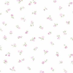 PR33815 Shabby Rose Buds Wallpaper Pink, Green, Light Purple Floral Prints 2 Norwall Wallcovering