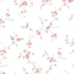 PR33838 Como Trail Wallpaper Pink, Green, Blue Floral Prints 2 Norwall Wallcovering