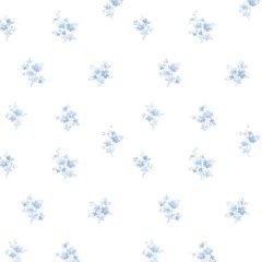 PR33841 Delicate Daisies Wallpaper Blue Floral Prints 2 Norwall Wallcovering