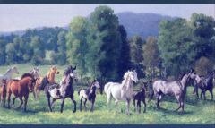 Green Grazing Mustang Wallpaper Border-1 Roll Left
