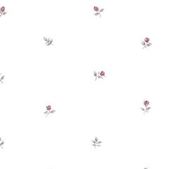 RG35720 Rose Buds Wallpaper Pink, Grey Garden 2 Norwall Wallcovering