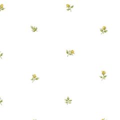 RG35721 Rose Buds Wallpaper Yellow, Green Garden 2 Norwall Wallcovering