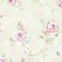 RG35740 Painted Rose Trail Wallpaper Pink, Green Garden 2 Norwall Wallcovering