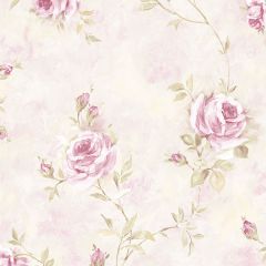 RG35741 Painted Rose Trail Wallpaper Pink, Green Garden 2 Norwall Wallcovering