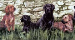 Brown Labradors Wallpaper Border