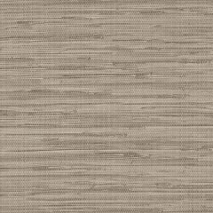 WF36303 Grasscloth Wallpaper Taupe Wall Finishes Norwall Wallcovering