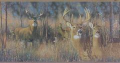 Buck and Doe Wallpaper Border