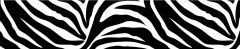 Go Wild Black & White Zebra Print Wall Pops Border