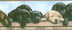Labrador and Retriever Puppies Wallpaper Border WT1038BCS