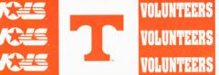 University of Tennessee Collegiate Wallpaper Border YBL6033